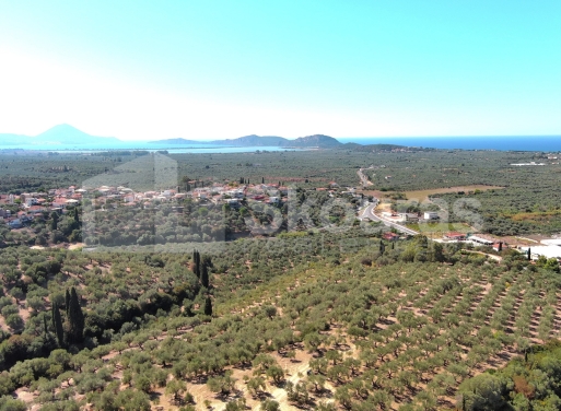 Landparzelle Korifasio, Nestoras 5.867 qm - 12
