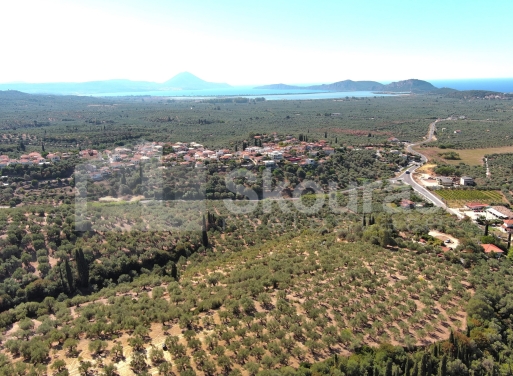 Landparzelle Korifasio, Nestoras 5.867 qm - 11