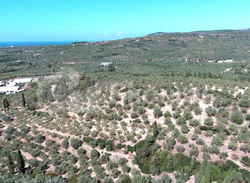 Landparzelle Korifasio, Nestoras 5.867 qm - 10