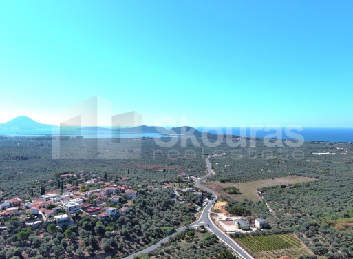 Landparzelle Korifasio, Nestoras 5.867 qm - 19