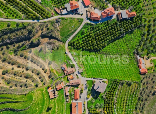 Οικόπεδο Νέο Ροεινό, Νέα Τίρυνθα 399 τ.μ. - 9