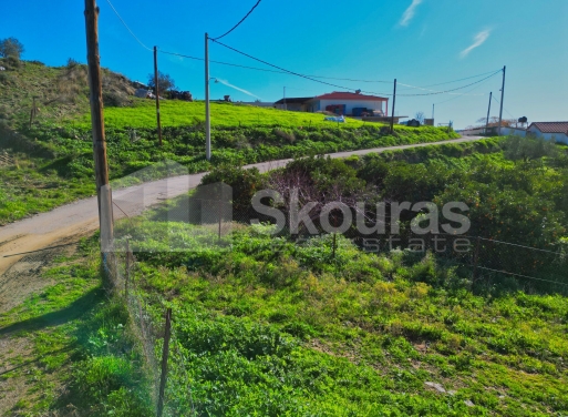 Οικόπεδο Νέο Ροεινό, Νέα Τίρυνθα 399 τ.μ. - 18