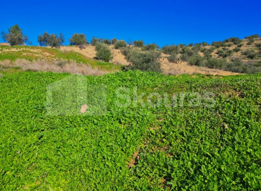 Οικόπεδο Νέο Ροεινό, Νέα Τίρυνθα 399 τ.μ. - 16