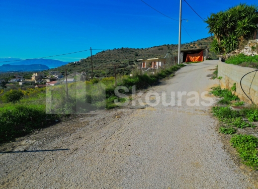 Οικόπεδο Νέο Ροεινό, Νέα Τίρυνθα 399 τ.μ. - 23