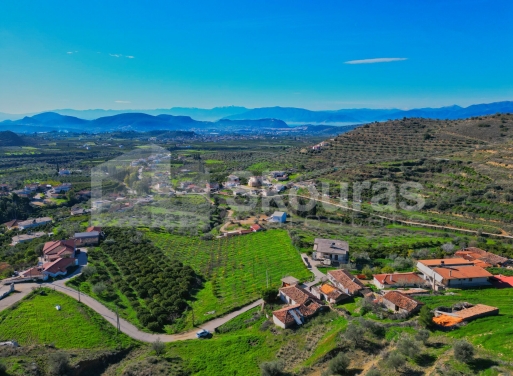 Οικόπεδο Νέο Ροεινό, Νέα Τίρυνθα 399 τ.μ. - 5