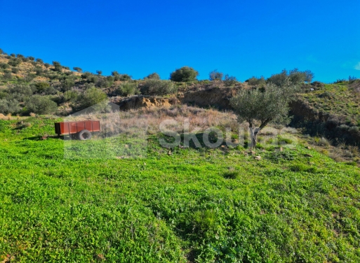 Οικόπεδο Νέο Ροεινό, Νέα Τίρυνθα 399 τ.μ. - 19