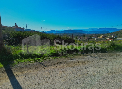 Οικόπεδο Νέο Ροεινό, Νέα Τίρυνθα 399 τ.μ. - 22