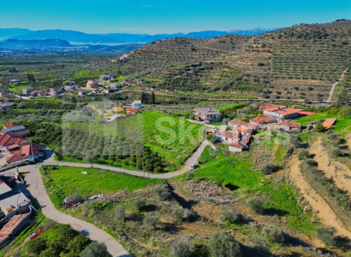 Οικόπεδο Νέο Ροεινό, Νέα Τίρυνθα 399 τ.μ. - 4