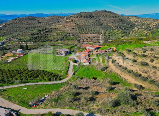 Οικόπεδο Νέο Ροεινό, Νέα Τίρυνθα 399 τ.μ. - 11