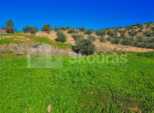Οικόπεδο Νέο Ροεινό, Νέα Τίρυνθα 399 τ.μ. - 14