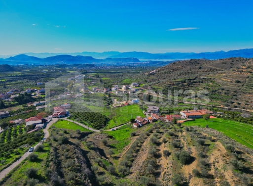 Οικόπεδο Νέο Ροεινό, Νέα Τίρυνθα 399 τ.μ. - 12
