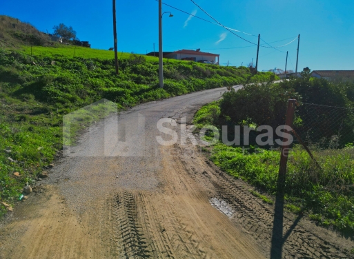Οικόπεδο Νέο Ροεινό, Νέα Τίρυνθα 399 τ.μ. - 24