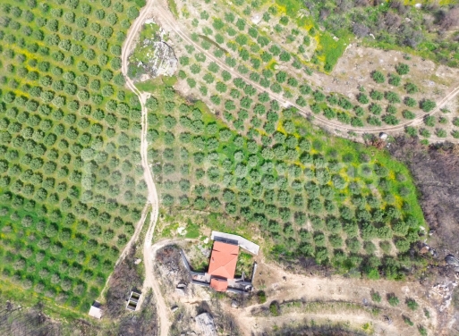 Einfamilienhaus Evrostini 113 qm - 3