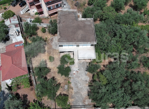 Μονοκατοικία Αρφαρά 163 τ.μ. - 21