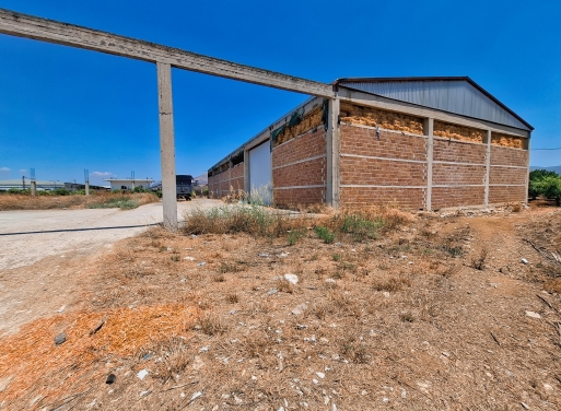 Entrepôt Midea 810 m2 - 21