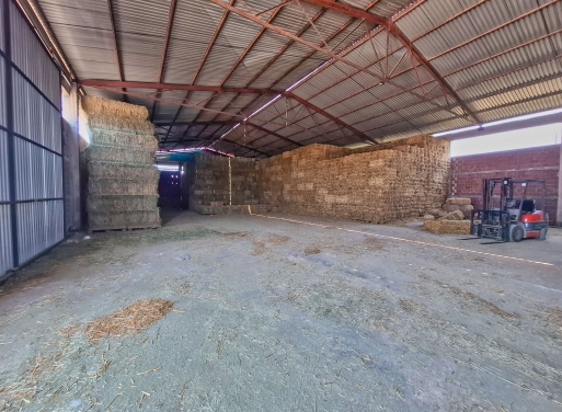 Entrepôt Midea 810 m2 - 25