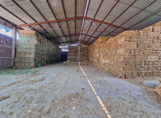 Entrepôt Midea 810 m2 - 24