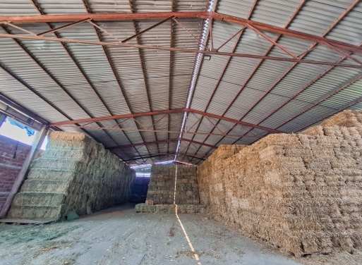 Entrepôt Midea 810 m2 - 6