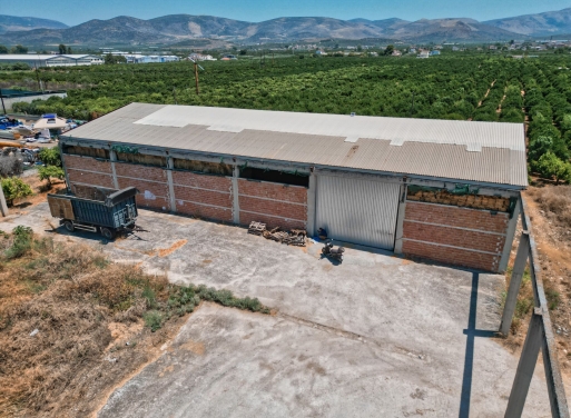 Entrepôt Midea 810 m2 - 22