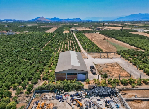 Entrepôt Midea 810 m2 - 19