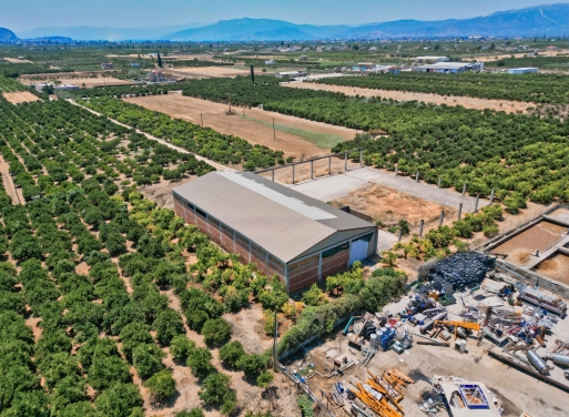 Entrepôt Midea 810 m2 - 18