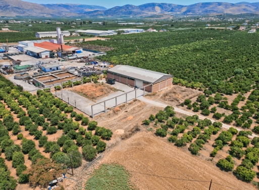 Entrepôt Midea 810 m2 - 15