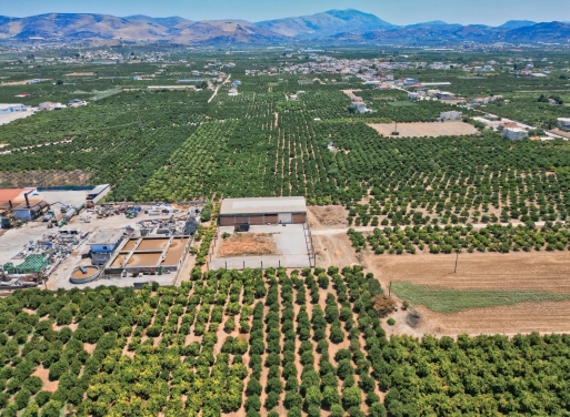 Entrepôt Midea 810 m2 - 14