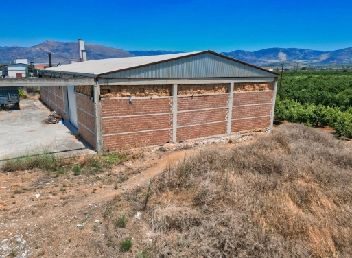 Entrepôt Midea 810 m2 - 3