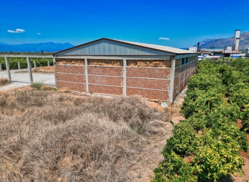 Entrepôt Midea 810 m2 - 2