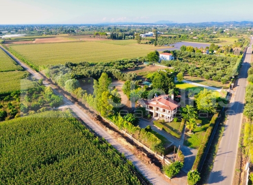 Detached house Palouki, Amaliada 190 m2 - 4