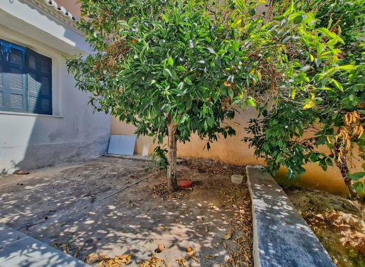 Plot Tolo, Asini 400 m2 - 20