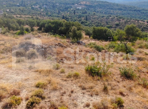 Участок Kardamili, Lefktro-Kardamyli 2.268 кв.м - 29