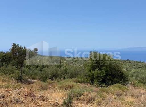 Участок Kardamili, Lefktro-Kardamyli 2.268 кв.м - 26