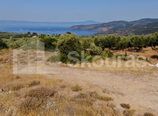 Участок Kardamili, Lefktro-Kardamyli 2.268 кв.м - 24