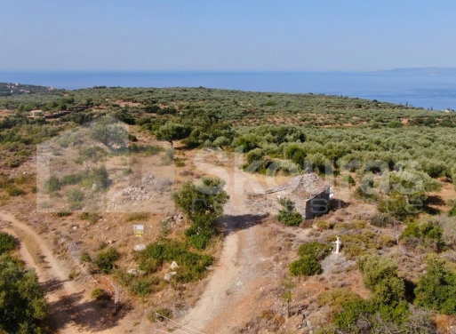 Участок Kardamili, Lefktro-Kardamyli 2.268 кв.м - 22