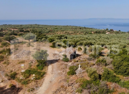 Участок Kardamili, Lefktro-Kardamyli 2.268 кв.м - 20