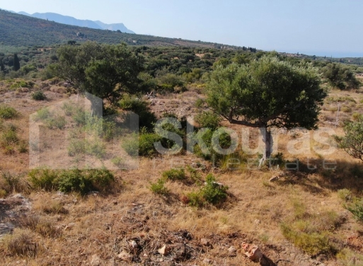 Участок Kardamili, Lefktro-Kardamyli 2.268 кв.м - 18