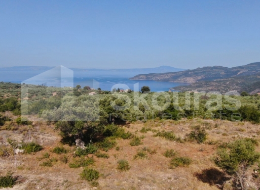 Участок Kardamili, Lefktro-Kardamyli 2.268 кв.м - 21