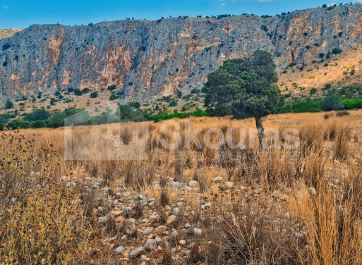 Участок Agios Antonios, Асина 1.480 кв.м - 6