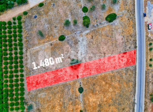 Участок Agios Antonios, Асина 1.480 кв.м - 12