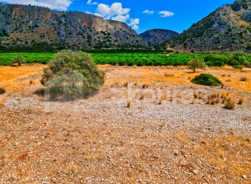 Участок Agios Antonios, Асина 1.480 кв.м - 11