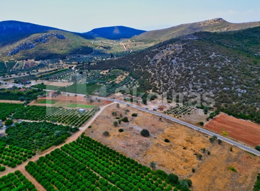 Участок Agios Antonios, Асина 1.480 кв.м - 23