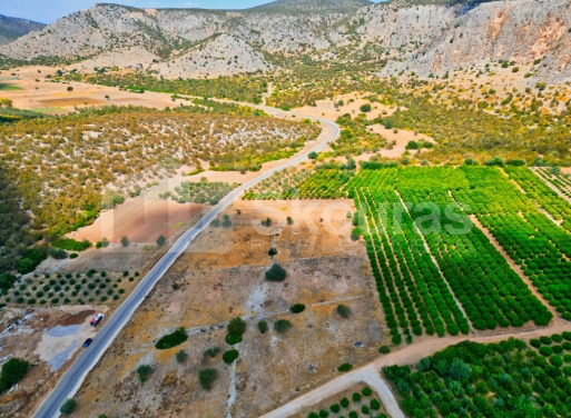 Участок Agios Antonios, Асина 1.480 кв.м - 22