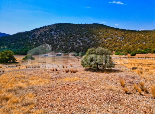 Участок Agios Antonios, Асина 1.480 кв.м - 21