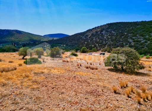 Участок Agios Antonios, Асина 1.480 кв.м - 20