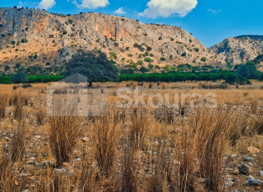 Участок Agios Antonios, Асина 1.480 кв.м - 5