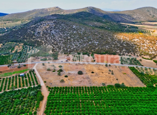 Участок Agios Antonios, Асина 1.480 кв.м - 16