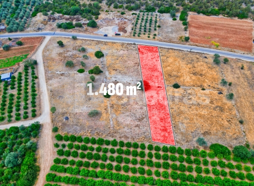 Участок Agios Antonios, Асина 1.480 кв.м - 2