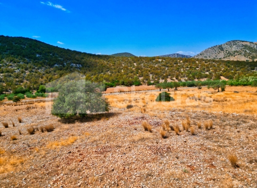Участок Agios Antonios, Асина 1.480 кв.м - 13
