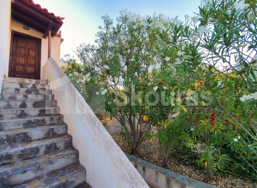 Μεζονέτα Κρανίδι 134 τ.μ. - 21